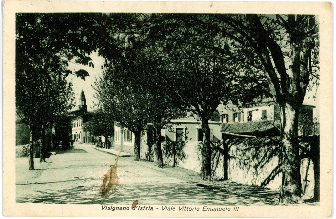 Image description